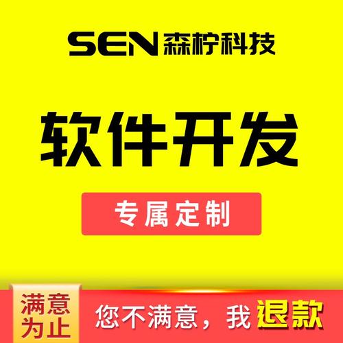 项目管理软件财务管理合同管理定制成本核算管理数据分析系统开发0