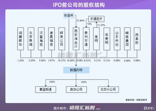 新通药物冲击科创板 尚未实现盈利,在研产品多为授权或合作开发